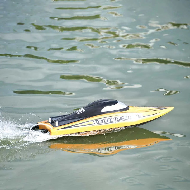 Remote Control RC Boat