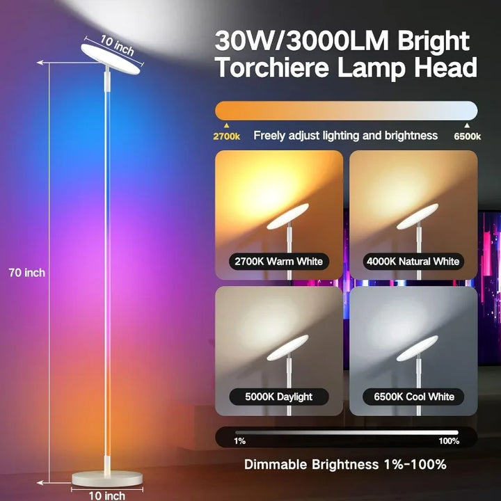 Floor Lamp, 2-in-1 Smart RGB Corner Lamp