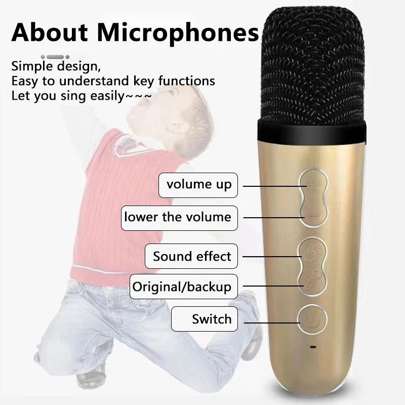 Dual Microphone Karaoke Machine Bluetooth Speaker